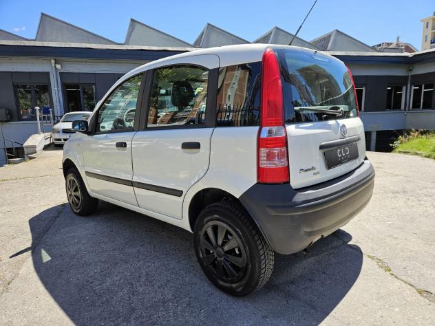 FIAT Panda Panda 1.2 4x4 - Foto 3
