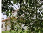 Quadrilocale in vendita a Poncarale