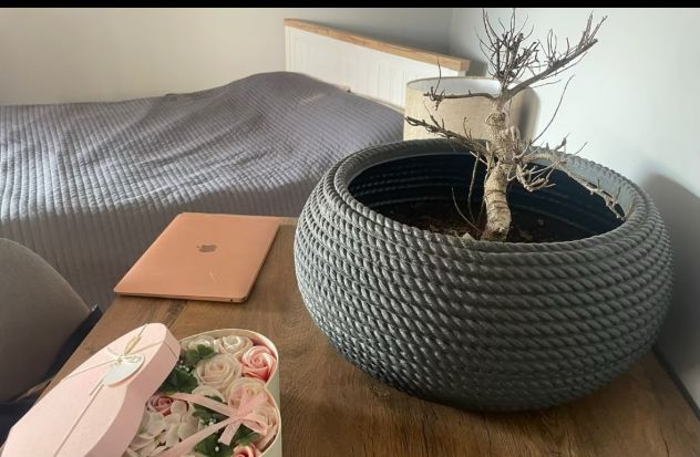FONTE LAURENTINA-BILOCALE CON TERRAZZO AMPIO - Foto 4