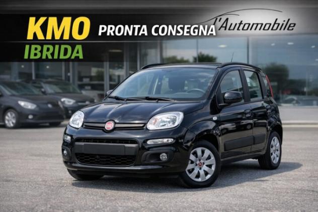 FIAT Panda 3ª serie Panda 1.0 FireFly S&S Hybrid Icon - Foto 3