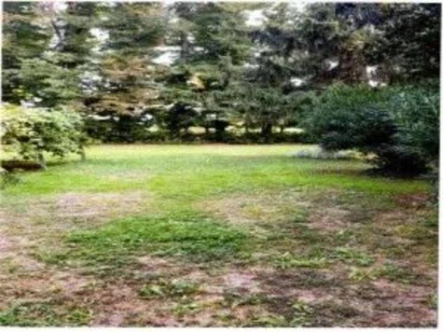 Immobile in asta di 79 m² in vendita a Vescovana - Foto 5