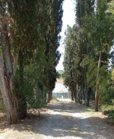 Immobile in asta di 491 m² con più di 5 locali in vendita a Cerreto Guidi - Foto 4