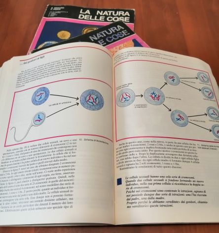 La Natura delle Cose corso di Scienze per le Medie in tre Volumi 1983 - Foto 7