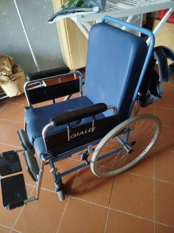 sedia a rotelle