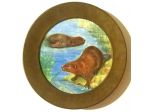 Piatto Inglese in Ottone raffigurante la famiglia de castori dipinto su ceramica