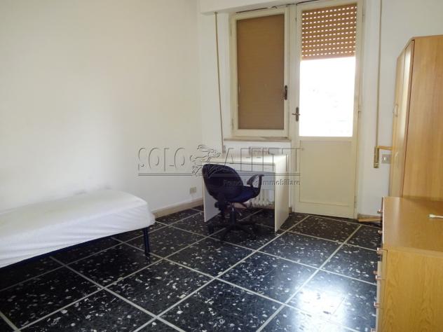 Stanza in appartamento in affitto a Siena - Foto 3