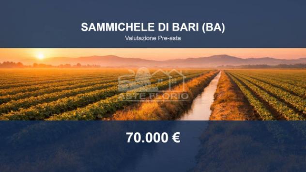 Immobile in asta di 147749 m² in vendita a Sammichele di Bari