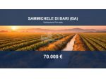 Immobile in asta di 147749 m² in vendita a Sammichele di Bari