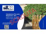 Immobile in asta di 50 m² in vendita a Arzachena