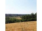 Agriturismo Le Rondini