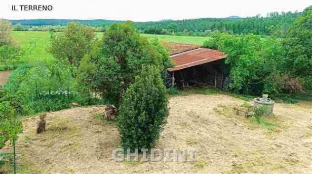 AZIENDA AGRICOLA di 10 vani e di 350 mq (CIVITELLA PAGANICO - PAGANICO) rif. 2571.300M. - Foto 10