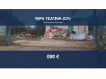 Immobile in asta di 350 m² in vendita a Ripa Teatina