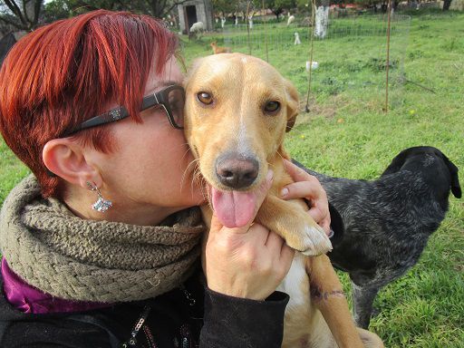 MOMO, splendido cucciolo - Foto 2