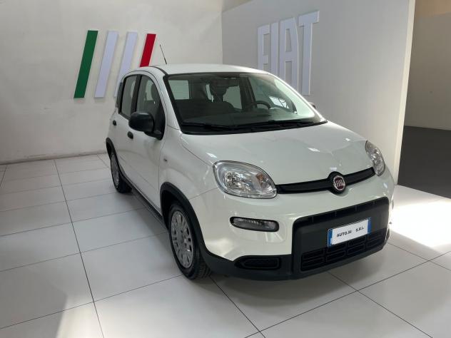 FIAT Panda 1.0 FireFly 70cv S&S Hybrid - Foto 3