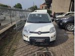 FIAT Panda 1.0 firefly hybrid s&s 70cv rif. 24151673
