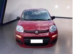 FIAT Pandina Panda My25 1.0 70cv Hybrid Panda