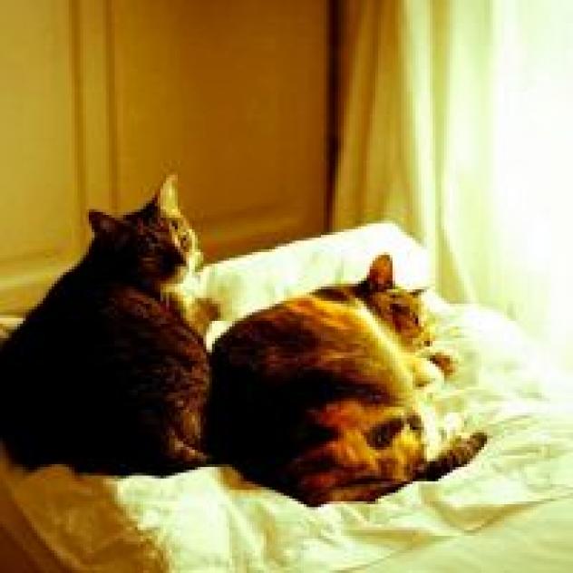 B&B De I Bravi - Charming Guest House - Foto 4