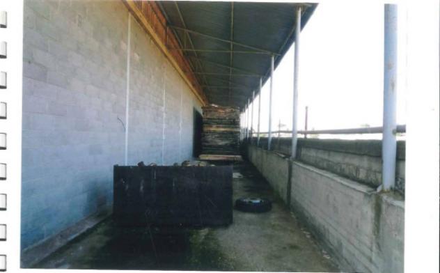 Immobile in asta di 10004 m² in vendita a Lucera - Foto 9