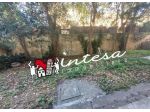 Appartamento in vendita a Pisa 90 mq  Rif: 1428612