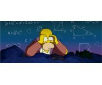 Lezioni di matematica, fisica, tutoraggio, aiuto compiti, anche on line