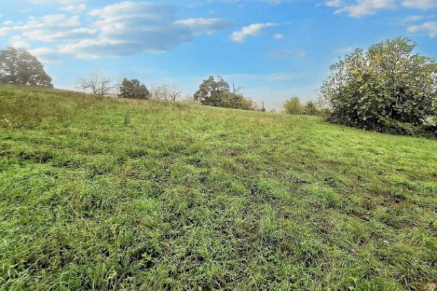 Immobile in asta di 1147 m² in vendita a Ziano Piacentino - Foto 7
