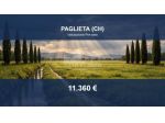 Immobile in asta di 14570 m² in vendita a Paglieta