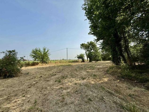 La bifamiliare col boschetto: un angolo di natura e spazio ad Alfonsine - Foto 10