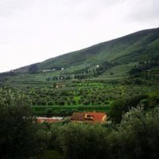 Podere La Contessa B&B di Bartolini Simona - Foto 3
