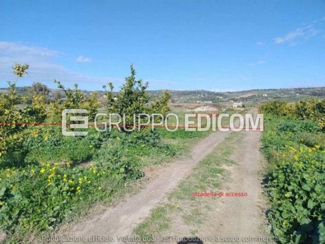 Terreno in vendita a Carlentini - Rif. 4553127 - Foto 4