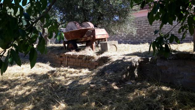 TERRENO AGRICOLO di 1300 mq (POMEZIA) rif. C/305 - Foto 5