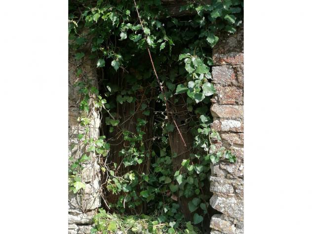 Agricolo in Contrada Puglisi - Foto 17