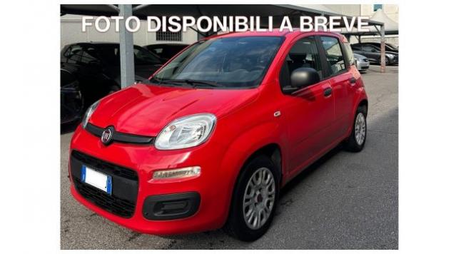 FIAT Panda 1.2 Easy rif. 24123123