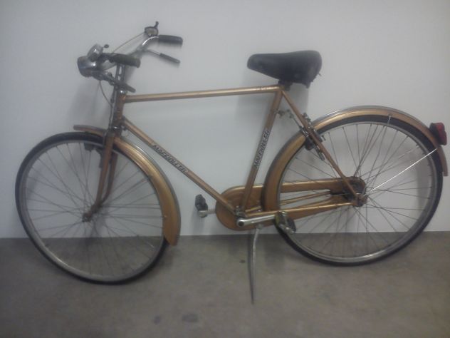 bicicletta con freni a bacchetta e cambio
