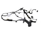 CABLAGGIO PORTA ANTERIORE DESTRA RENAULT Clio Serie IV 241243136R (1219)