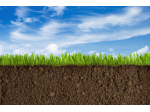 Terreno fronte strada x esposizione con accesso diretto
