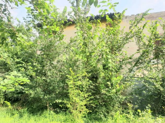Rustico / Casale di 400 m² in vendita a Bomporto - Foto 4