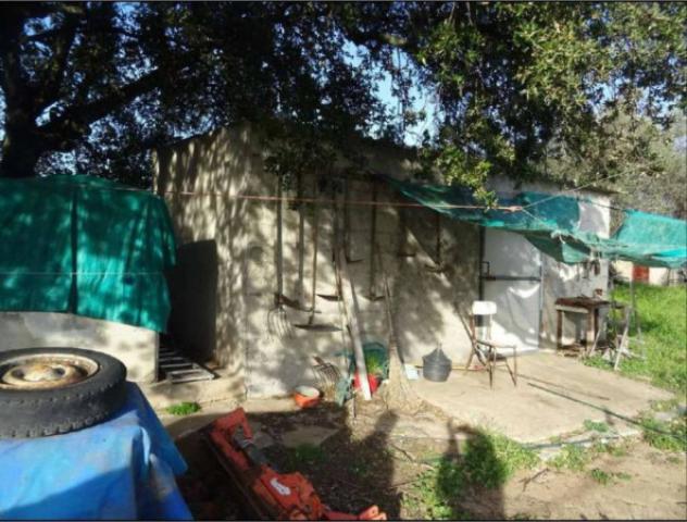 Immobile in asta di 2270 m² in vendita a Olbia - Foto 10
