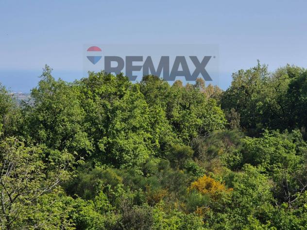 Terreno in vendita a Zafferana Etnea - Foto 10