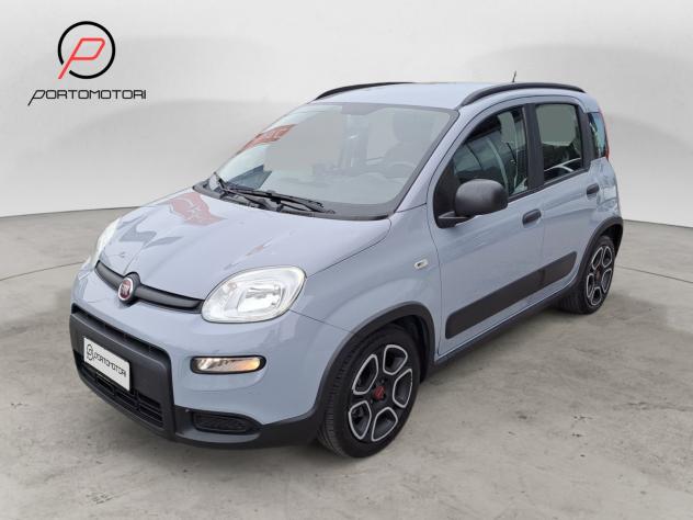 FIAT Panda 3ª serie 1.0 FireFly S&S Hybrid Red