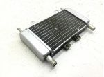 GILERA RUNNER SP 50 RADIATORE 2010 2012 C46100