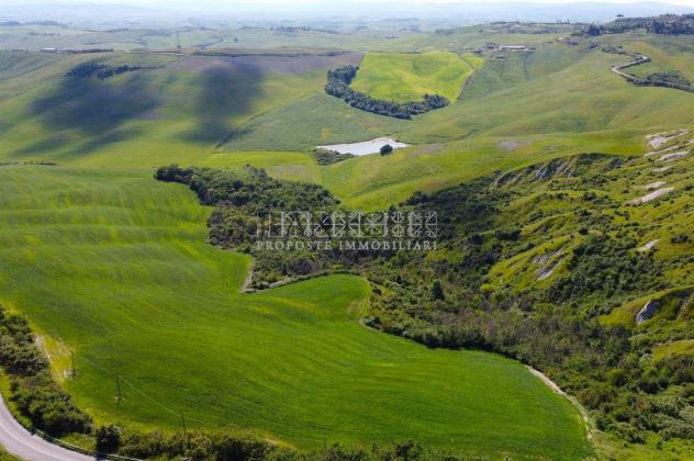 Nel Cuore delle Crete Senesi: 75 Ettari di Terreno Agricolo