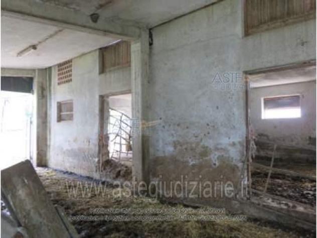 IMMOBILI-IMMOBILE COMMERCIALE-Via Forcella, 67010 Teora AQ, Italia - Foto 8