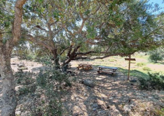 Immobile in asta di 11 m² in vendita a Melilli - Foto 8