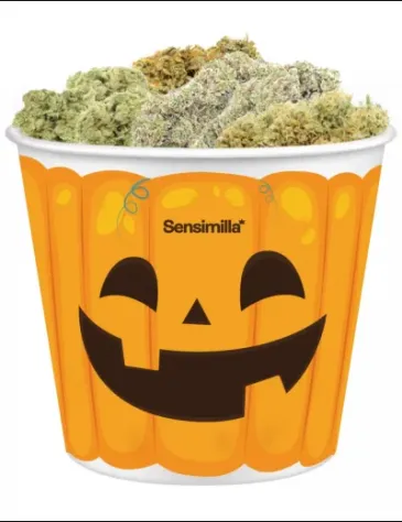 Halloween Scare Kit 18g
