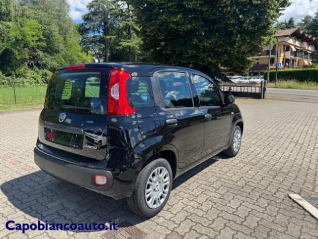 FIAT Panda 1.0 FireFly S&S Hybrid POP KM0 PROMO rif. 23776927 - Foto 6
