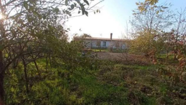 Immobile in asta di 3978 m² in vendita a Ripalta Guerina - Foto 9