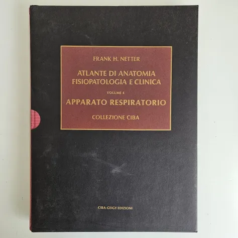 Netter, 7 Volumi - Collezione Ciba Geigy - Frank Netter - 1985 - TRACCIATA! - Foto 8