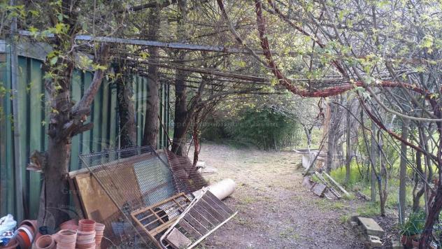 Alassio, terreno di circa 6.000 mq. con progetto per costruire una villa. - Foto 19