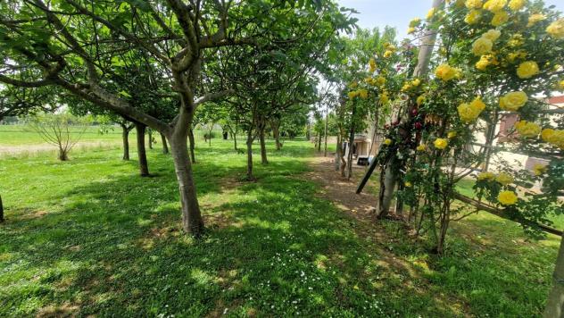 Terreno Agricolo - Rif. 2457 - Foto 5