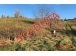 Immobile in asta di 2 m² in vendita a Gazzola